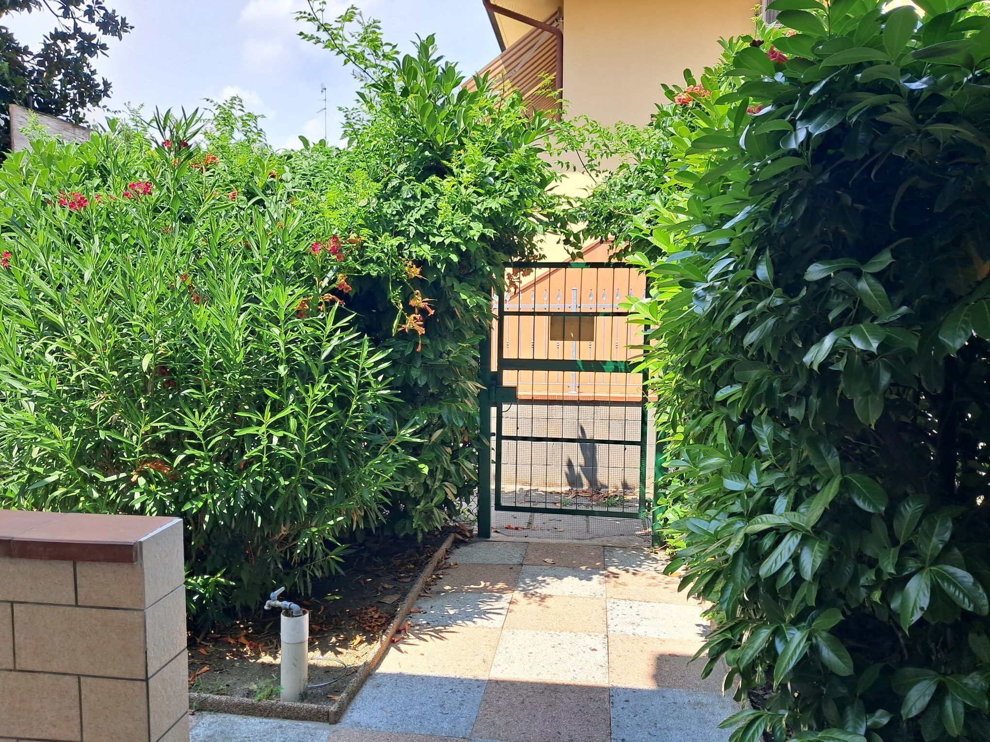 A garden pathway leading to a gated entrance, surrounded by lush greenery and flowering plants.