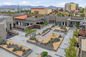 A rooftop garden with multiple planters and a view of the cityscape. - Paraíso Residence: Luxury in the Heart of the Marina (Cabo San Lucas)