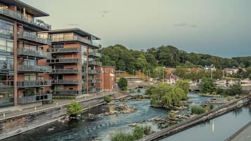 A riverside view with modern buildings, a bridge, and a forested hill.