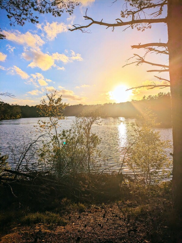 A sunset over a lake with trees in the foreground.