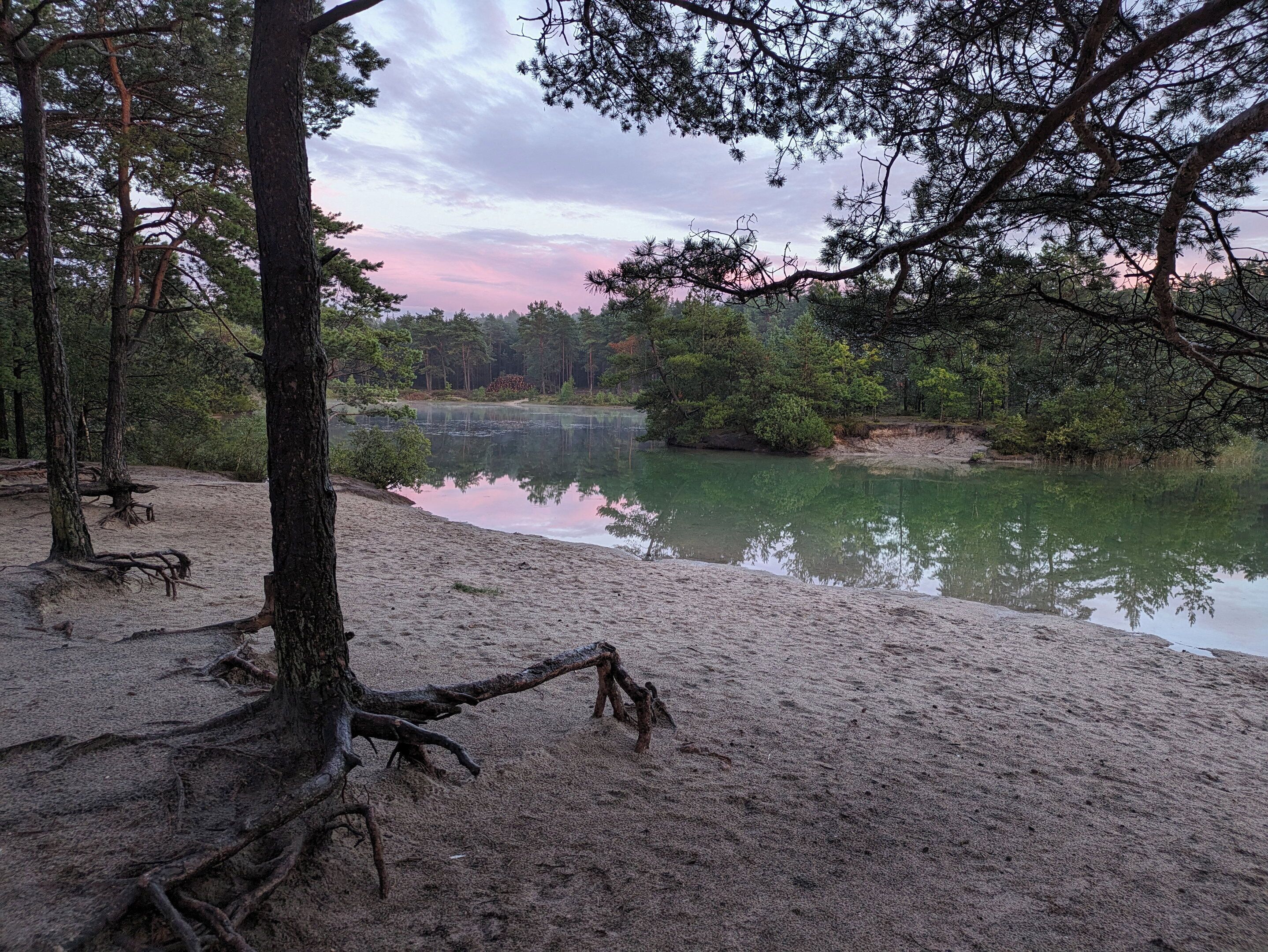 Paesaggio naturale con spiaggia sabbiosa, lago tranquillo e alberi fitti.
