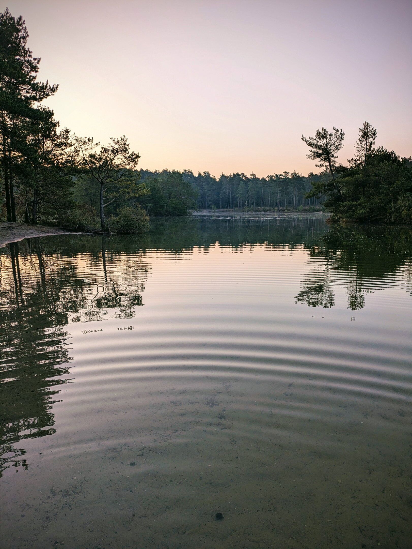 Un lac paisible où se reflètent les arbres, avec un quai sur la gauche.
