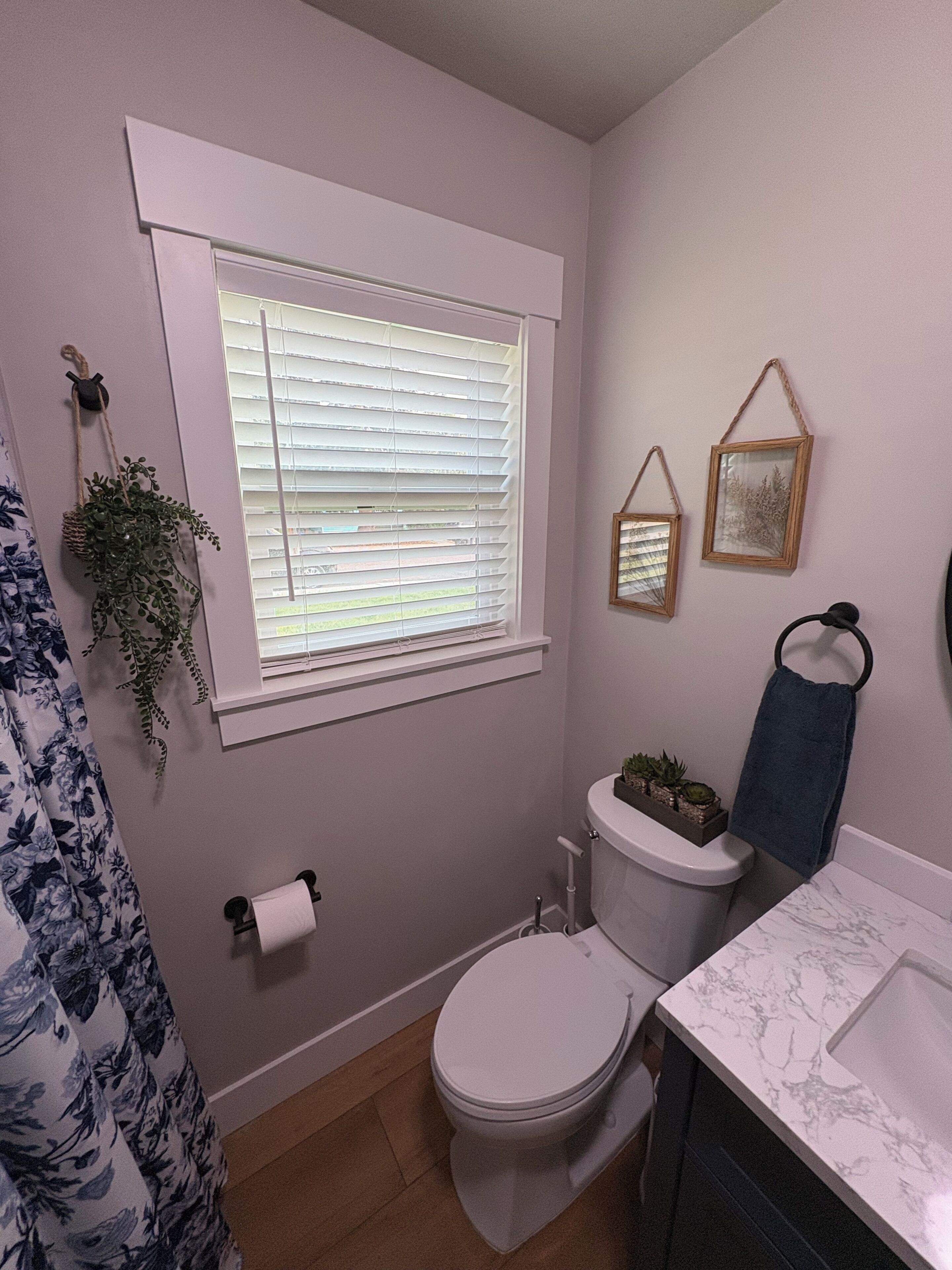 Un baño con inodoro, lavamanos, ventana con persianas, toallero y una planta colgante.