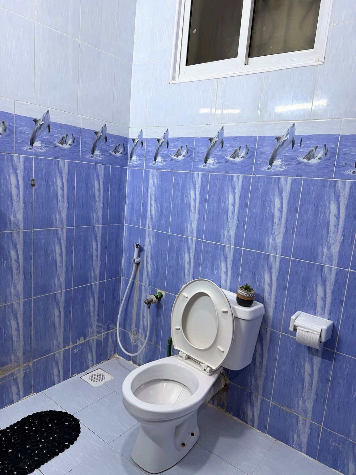 Une salle de bain avec des toilettes, un bidet et une fenêtre.