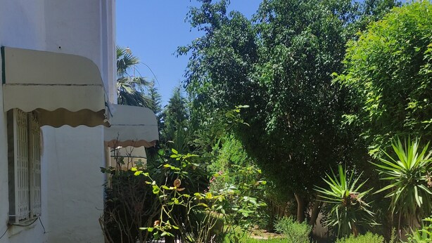 A paved pathway leading through a garden with various plants and trees. - Comfortable Apartment in Yasmine Hammamet – 150m from Beach (Yasmine Hammamet)
