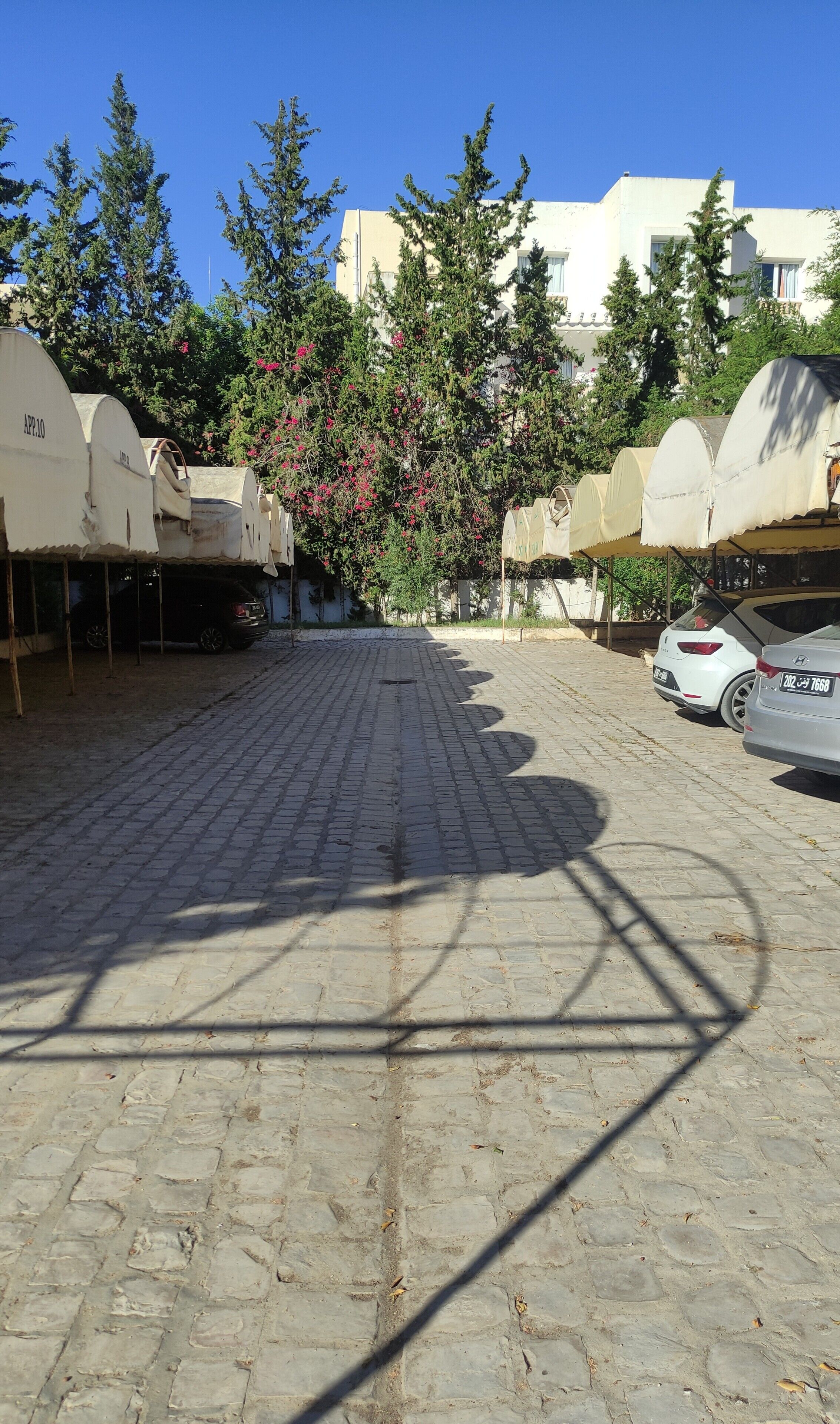 A paved courtyard with parked cars, covered structures, and trees.