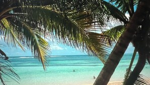 A beach scene with clear turquoise water, a person in the water, and palm trees framing the view. - Ti Case Sainte Anne, Martinique (Sainte-Anne)