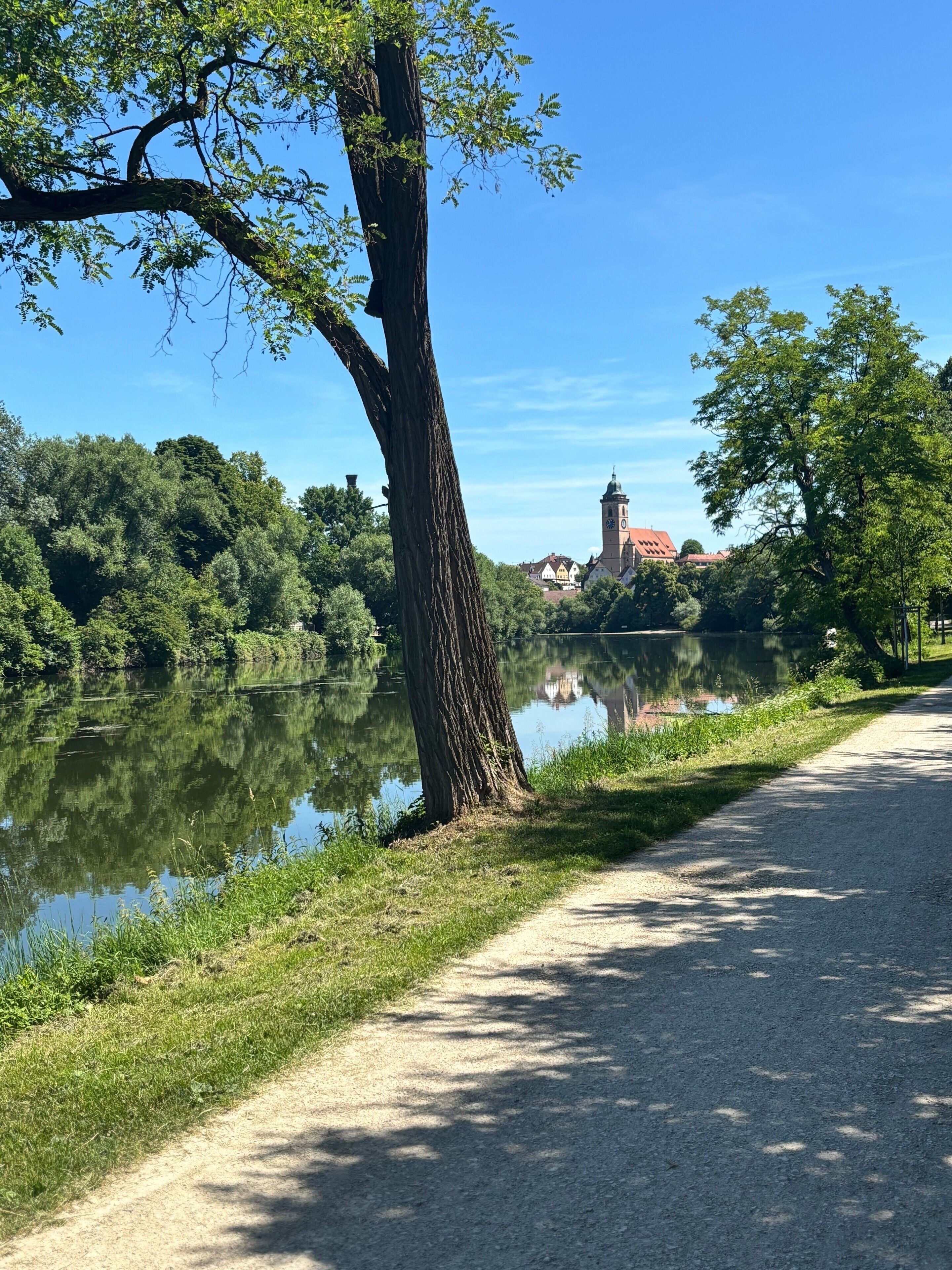 Un sentier longe une rivière paisible, avec un grand arbre sur la gauche et un bâtiment doté d’un clocher en arrière-plan.