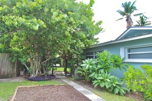 A residential property with a large tree, a fenced yard, and a house with a blue exterior. - The Seaside Serenity at Thumb Point - Hutchinson Island - Prime Location - Pool Home! (Fort Pierce)