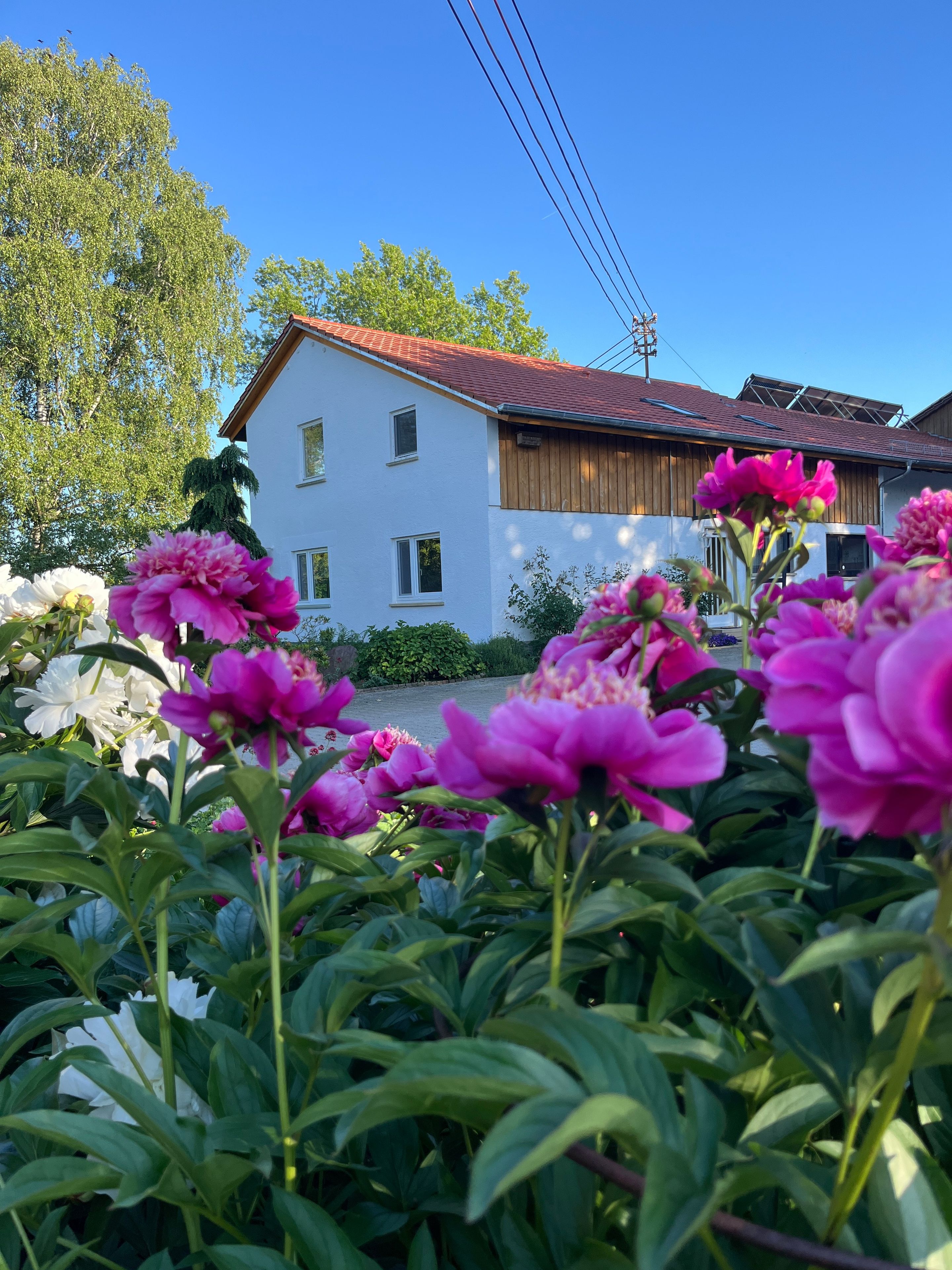 A white building with a red roof, surrounded by lush greenery and vibrant flowers.