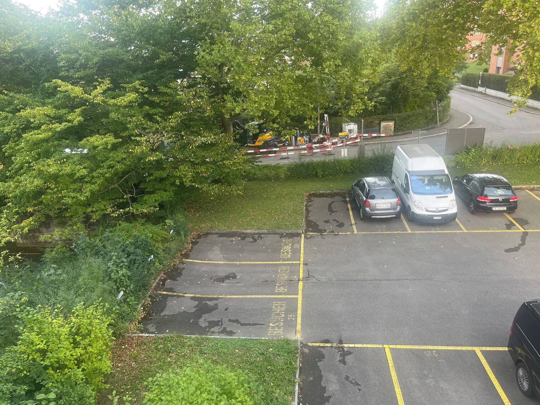 Ein Parkplatz mit markierten Stellplätzen, ein weißer Transporter und ein silbernes Auto.
