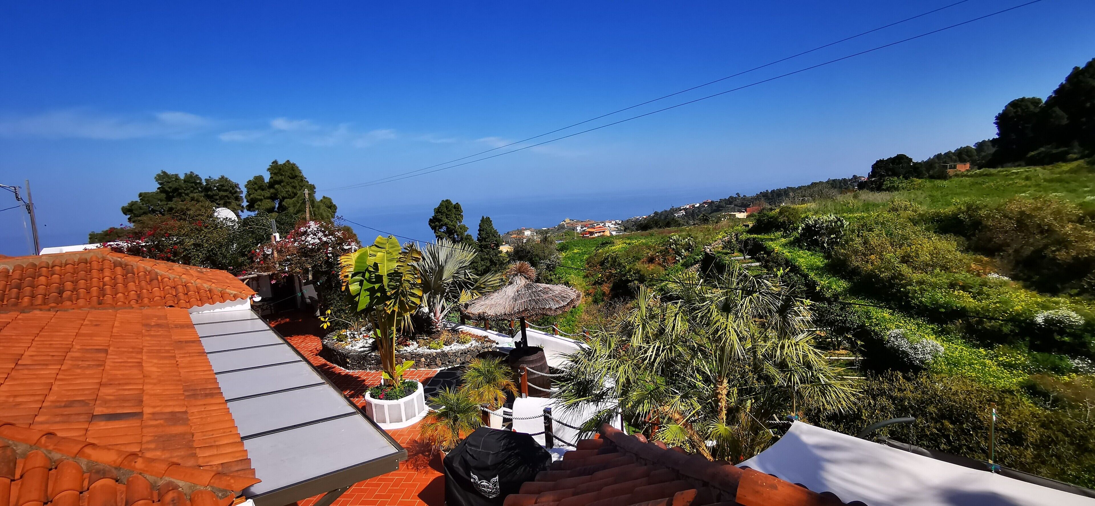 A residential area with a red-tiled roof, a thatched-roof structure, and lush greenery.