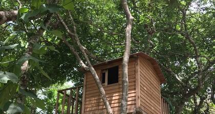 A private country home away from the noise; with a pool and terrace, ideal for nudism