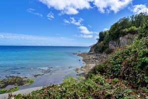 Eine Küstenlandschaft mit felsiger Küste, klarem blauen Meer und dichter Vegetation auf den Klippen.