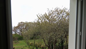 A room with a large window overlooking a garden with trees and grass.