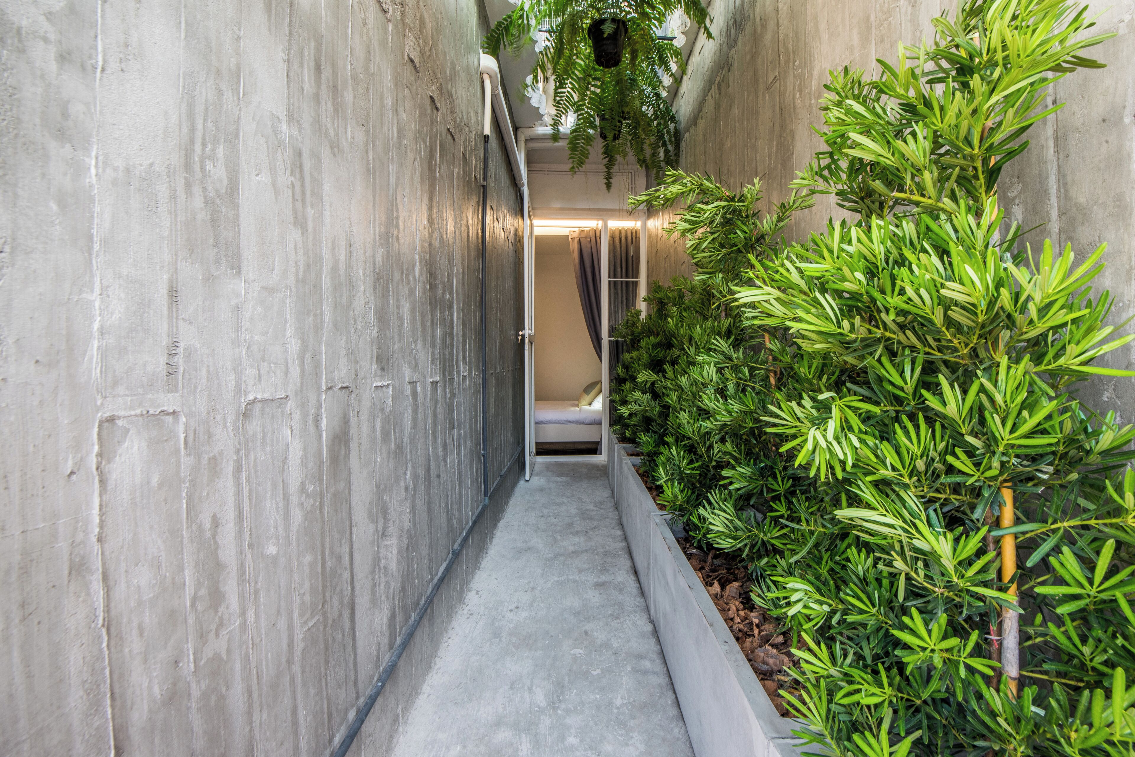 A narrow corridor with a concrete floor, a bed at the end, and green plants on the right.