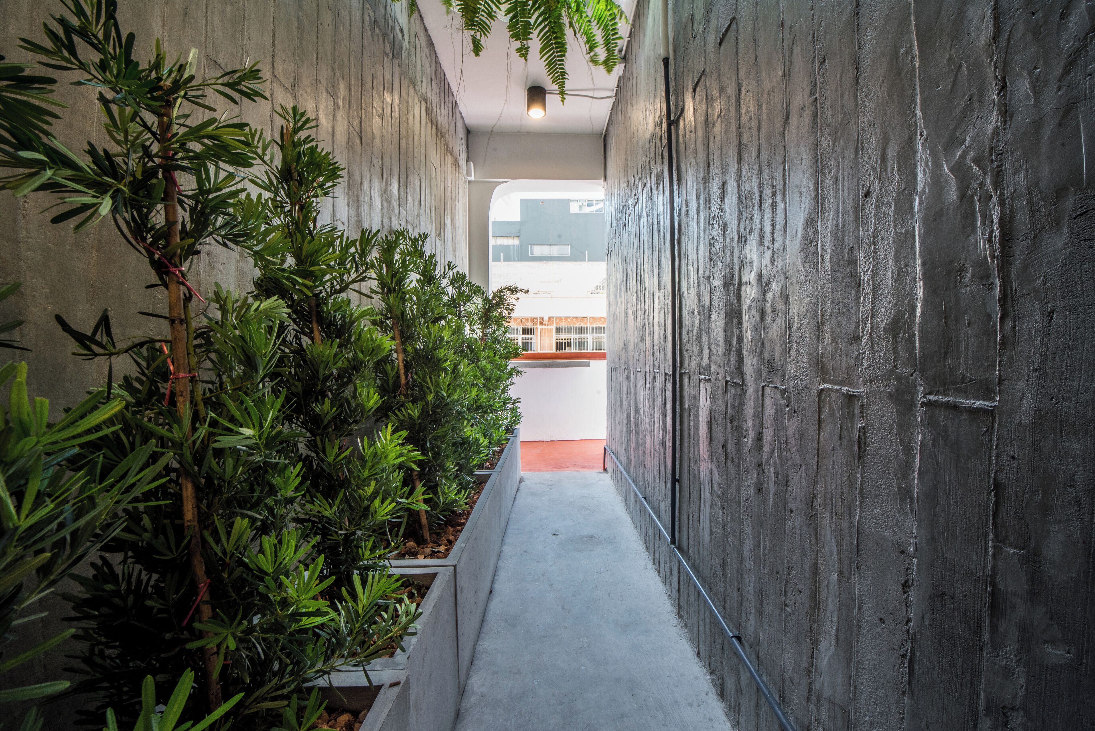 A narrow corridor with concrete walls, a concrete floor, and a row of potted plants on one side.