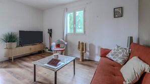 Ein Wohnzimmer mit Fernseher, Sofa, Couchtisch und einer Sukkulente.