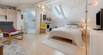 "Beinheim Pleasant 45 m² Studio" with Balcony and Wi-Fi