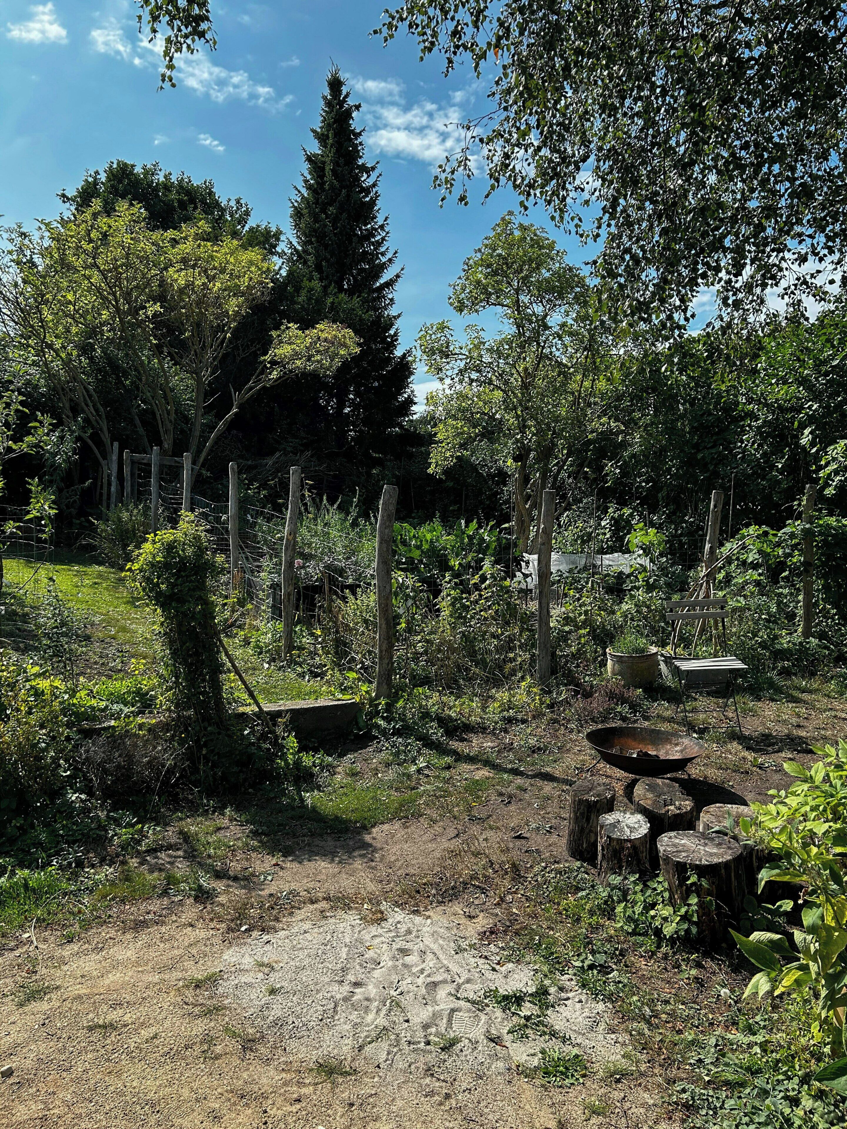 Ein Garten mit einem Feldweg, einem Holzzaun und verschiedenen Pflanzen.