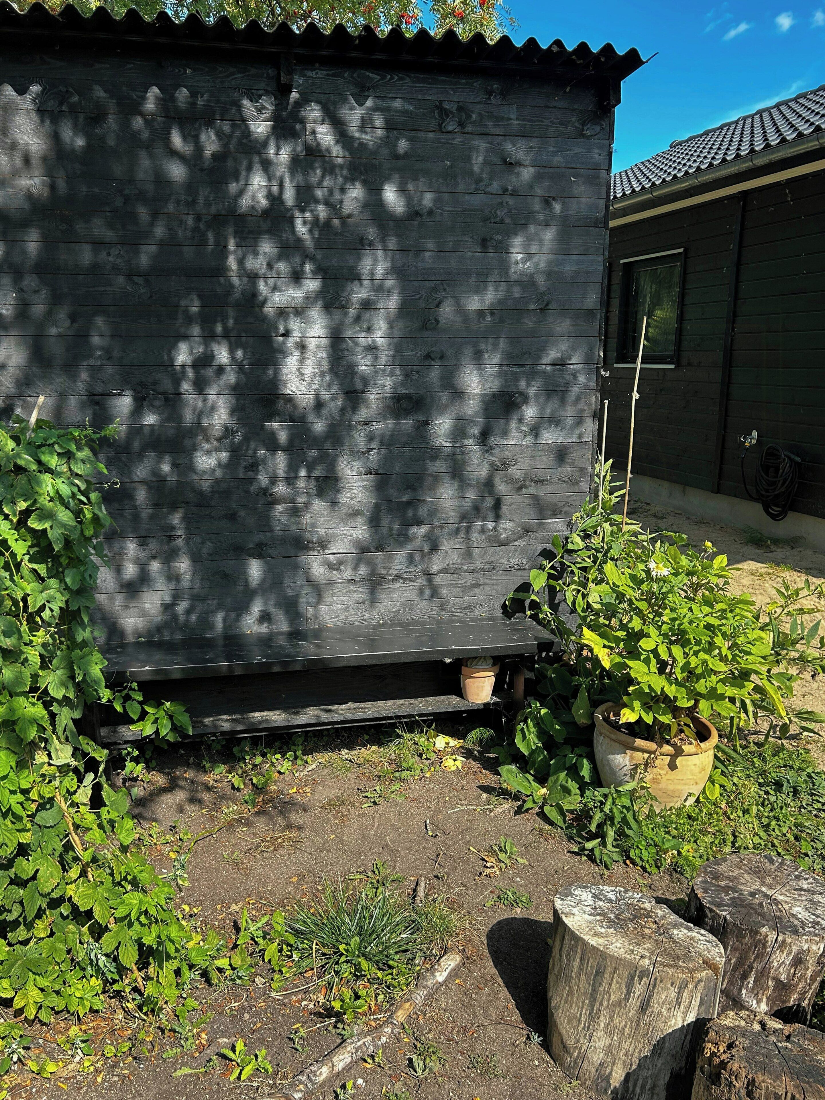 Un abri en bois avec un toit ondulé, entouré de verdure et agrémenté d’un petit jardin avec une plante en pot.