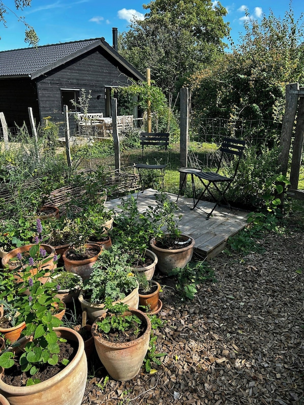 A garden with potted plants and a wooden bench.