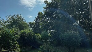 Property grounds - New summer house with kitchen garden by Faxe Bay (Præstø)