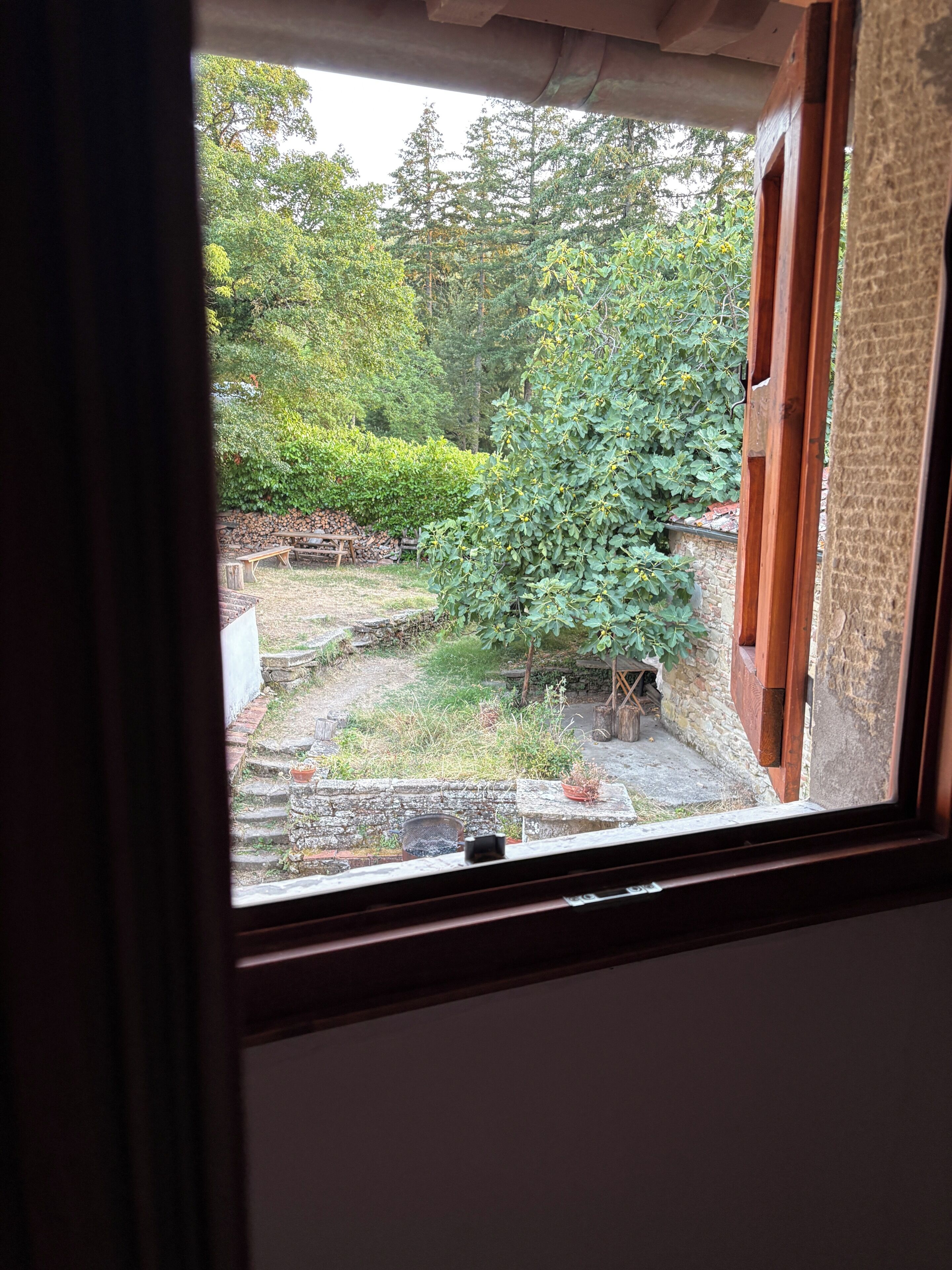 Una vista attraverso una finestra con cornice in legno, che mostra un giardino con un muro in pietra, una panchina di legno e diverse piante.