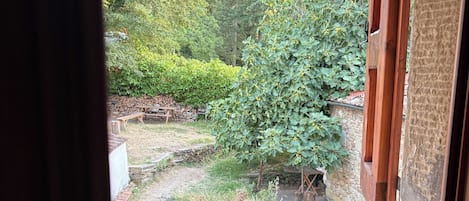 A view through a window with a wooden frame, revealing a garden area with a stone wall, a wooden bench, and various plants.