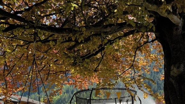 A trampoline under a tree with a house in the background. - Hochkalter Vacation Rental (Schönau am Königssee)