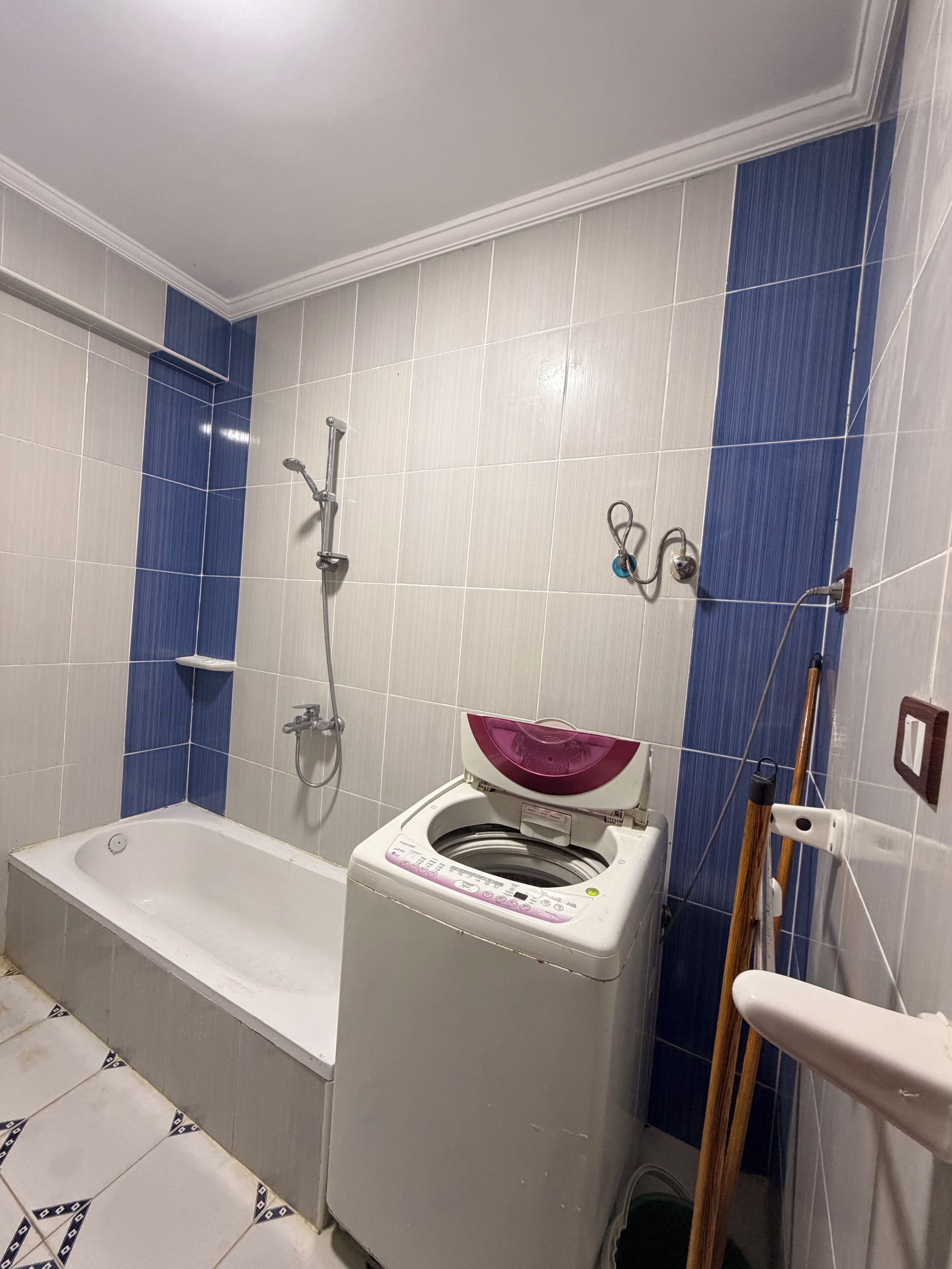 Une salle de bain avec une baignoire, un lave-linge et une douche.