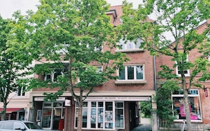Eksteriør