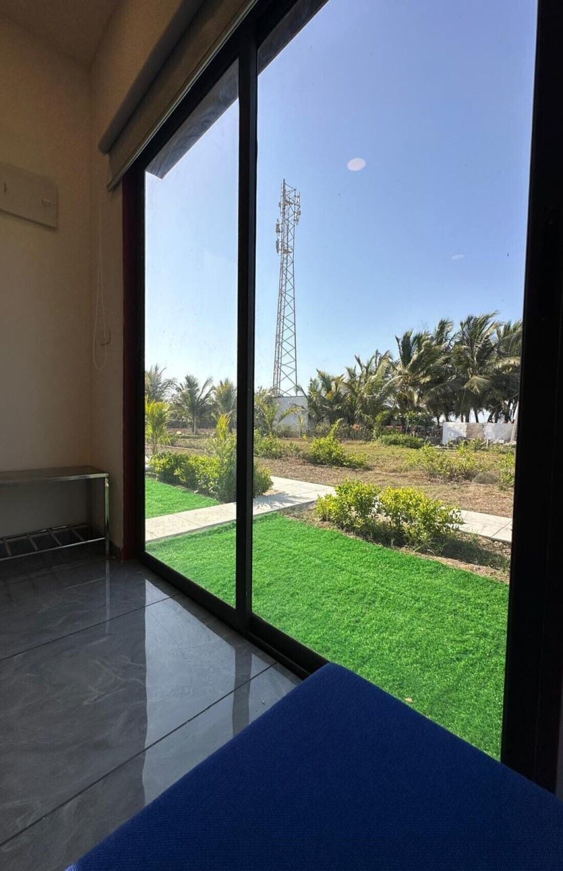 A room with a large window, a blue sofa, and a view of a green lawn and palm trees.