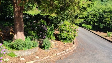 A paved road curving through a landscaped area with various shrubs and a large tree.
