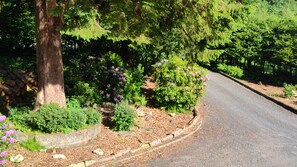 Un camino pavimentado serpentea por una zona ajardinada con arbustos variados y un gran árbol.
