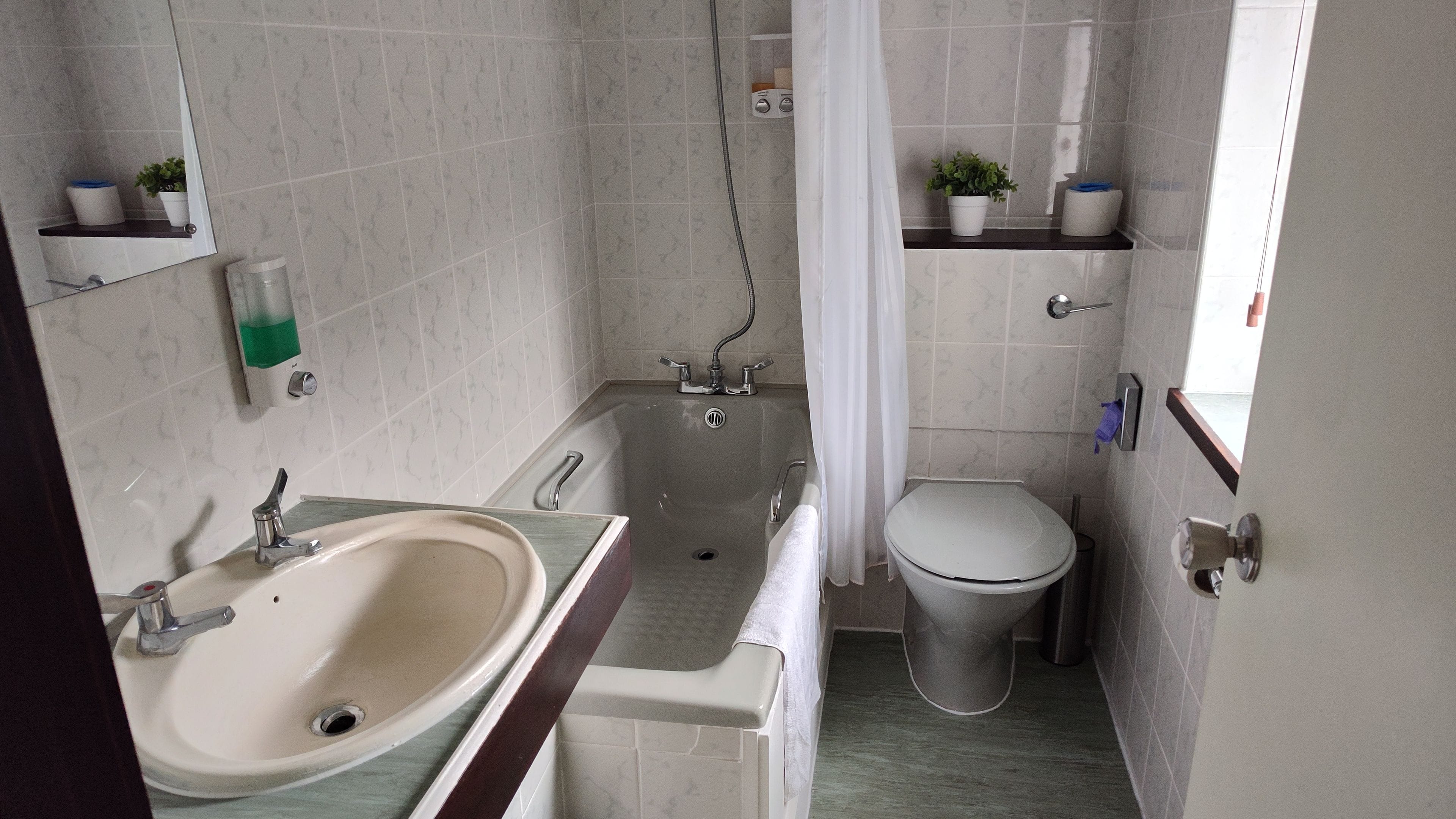 A bathroom with a sink, toilet, shower, and two shelves with plants.