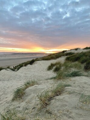 A beach with sand dunes and grassy vegetation.