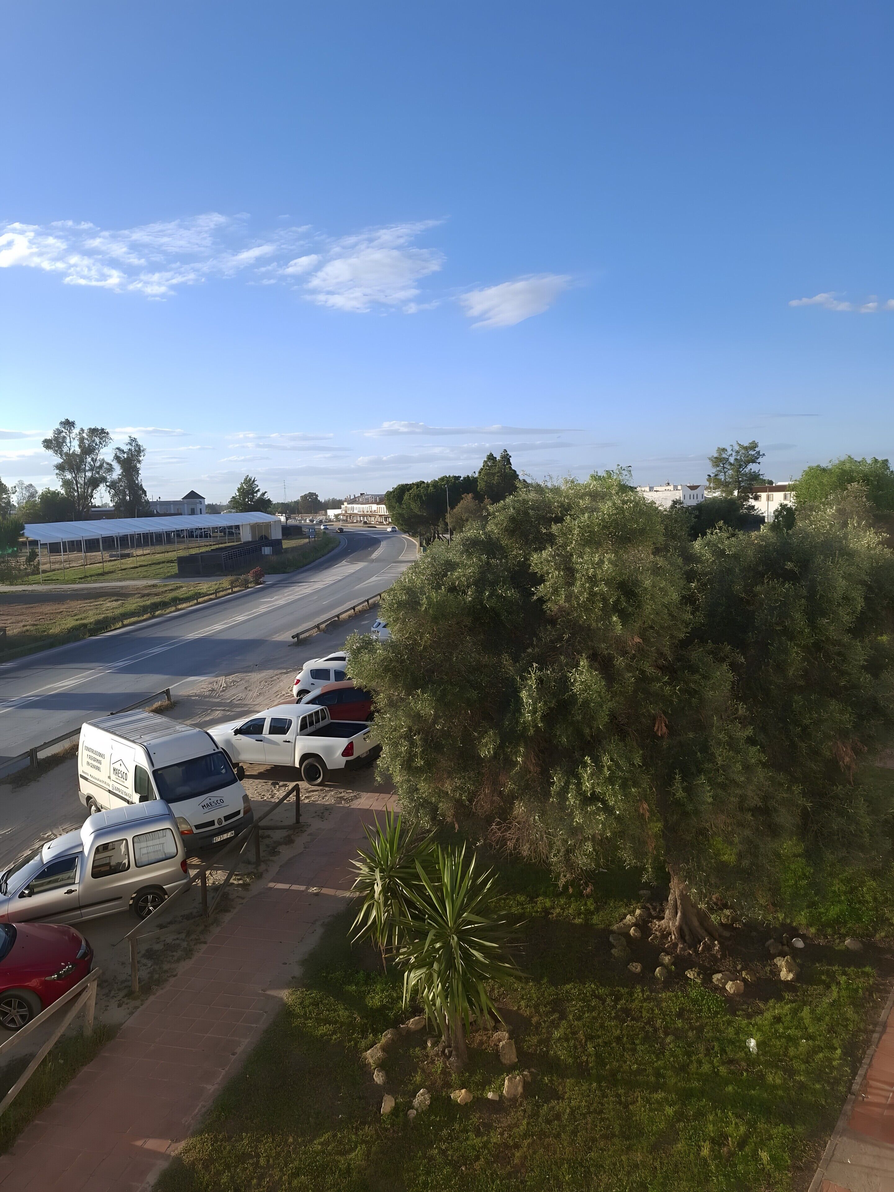 A road with parked vehicles, a clear sky, and greenery.