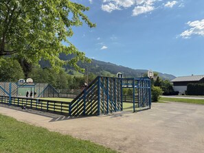 Sports court - Vrbo Property (Praz-sur-Arly)