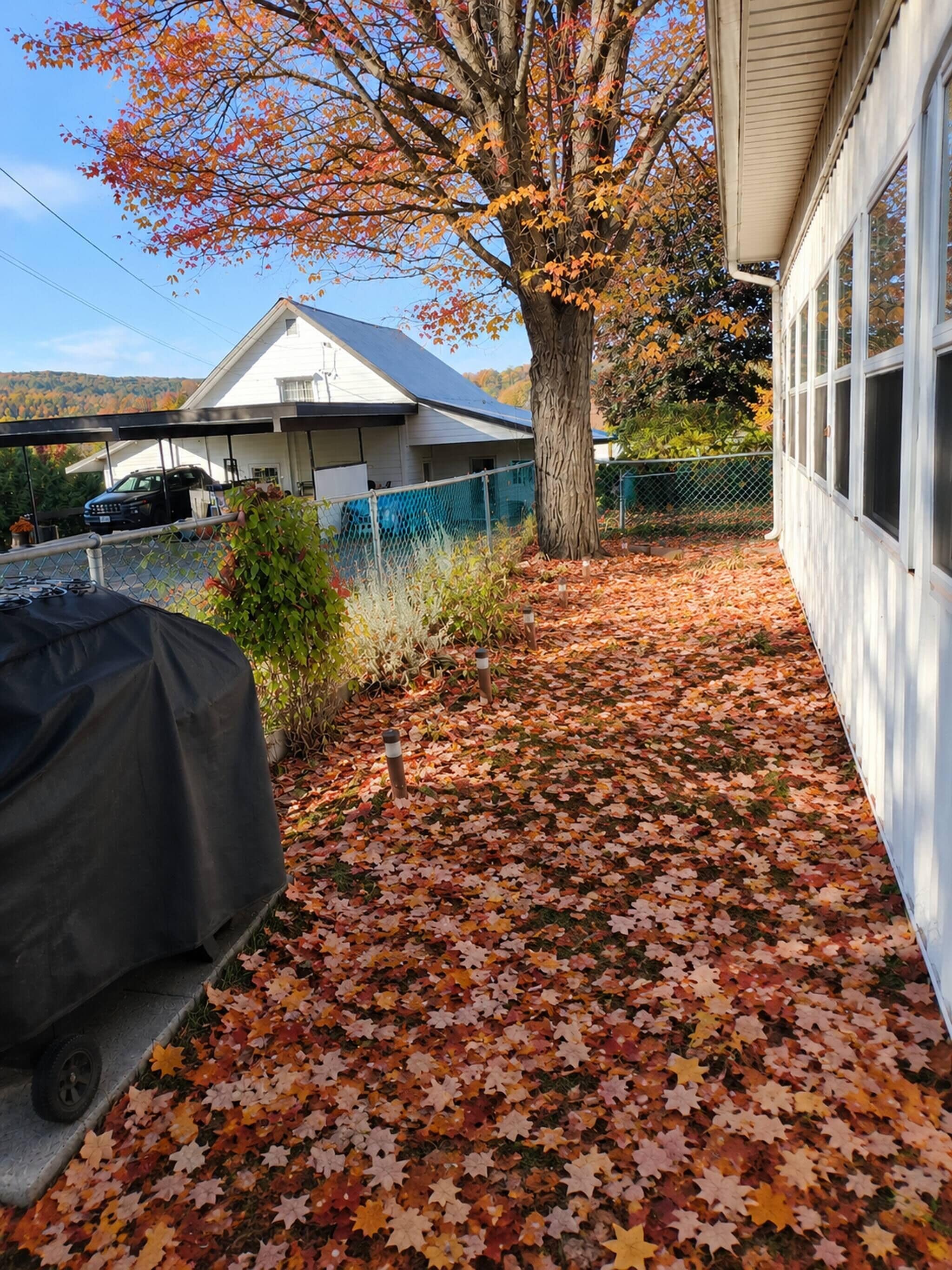A covered outdoor area with a barbecue grill, a tree with autumn leaves, and a house in the background.