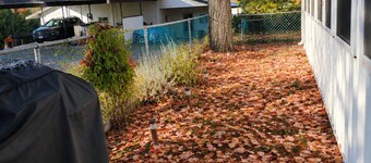 Room-cozy Basement Retreat in Bancroft