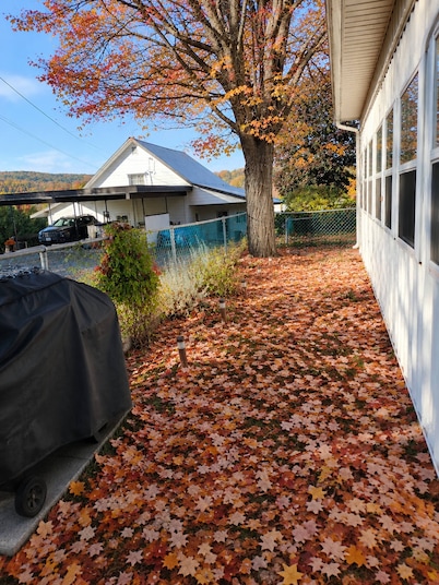 Room-cozy Basement Retreat in Bancroft