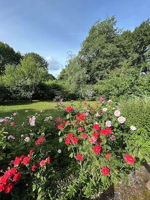 A garden with a variety of flowering plants, including roses, and a well-maintained lawn. - GRAND GITE LA MONERIE, for your stays with family, friends, or for business (Segré-en-Anjou Bleu)