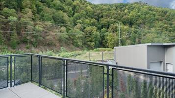 Ein Balkon mit Metallgeländer mit Blick auf eine bewaldete Hügelkuppe.