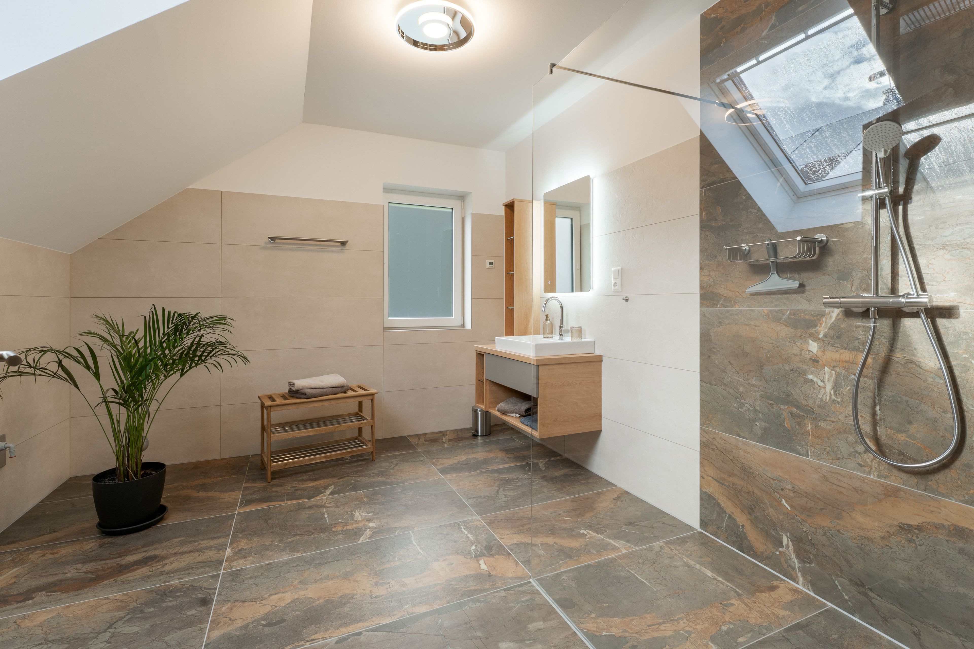 Een moderne badkamer met dakraam, douche, wastafel en een potplant.