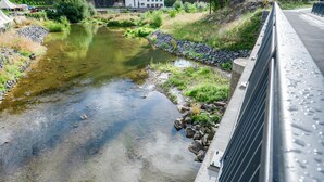 A river with clear water, surrounded by greenery and a concrete barrier.