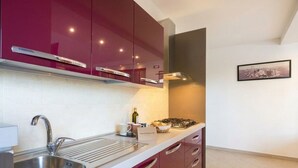 A modern kitchen with a stainless steel sink, a gas stove, and red cabinets.