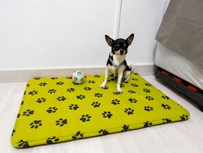 A small dog sitting on a yellow mat with black paw prints, next to a white and pink ball.