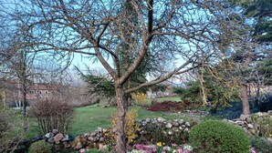 A garden with a large tree, a stone wall, and various flowering plants.