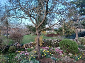 A garden with a large tree, a stone wall, and various flowering plants.